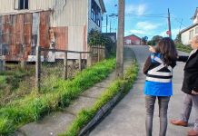 Fiscalización por Tenencia Responsable de Mascotas y Problemáticas Ambientales