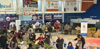 Se desarrolla en Ancud el Segundo Trafkintu-Chauke Provincial 2025