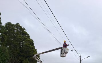 Municipalidad de Ancud informa avance en trabajos de mantención del alumbrado público