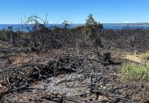 Controlan Incendio Forestal en el “Huaihuén”