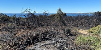 Controlan Incendio Forestal en el “Huaihuén”