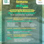 23 noviembre semana mipyme