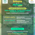 Semana de la MiPyme_Carrusel_03