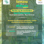 Semana de la MiPyme_Carrusel_04