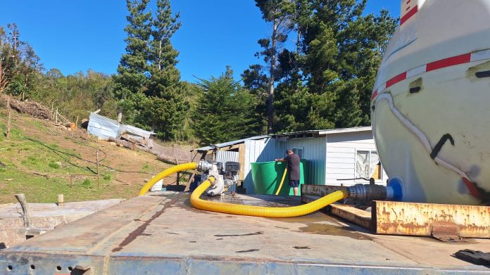 WhatsApp Image 2025-11-24 at 10.48.53 (3)