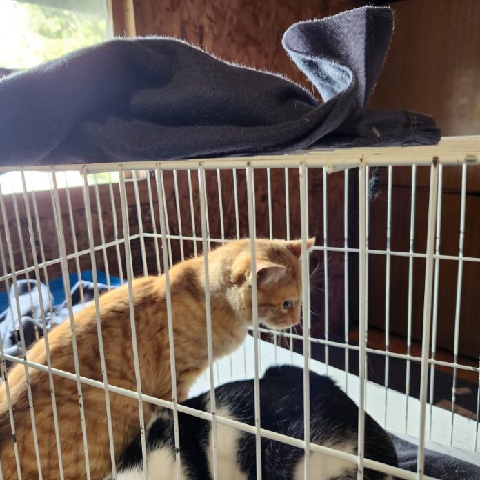 89390100-c080-4a47-ab3d-9d0d5a7d3dcf