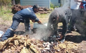 Corporación Cultural de Ancud invita a postular al Festival Sello Chilote