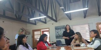 Ancud fue sede del Encuentro Provincial de Oficinas de Discapacidad