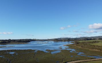 Proyecto impulsa gobernanza y planes de gestión para el Paisaje de Conservación Chiloé en Ancud y Dalcahue