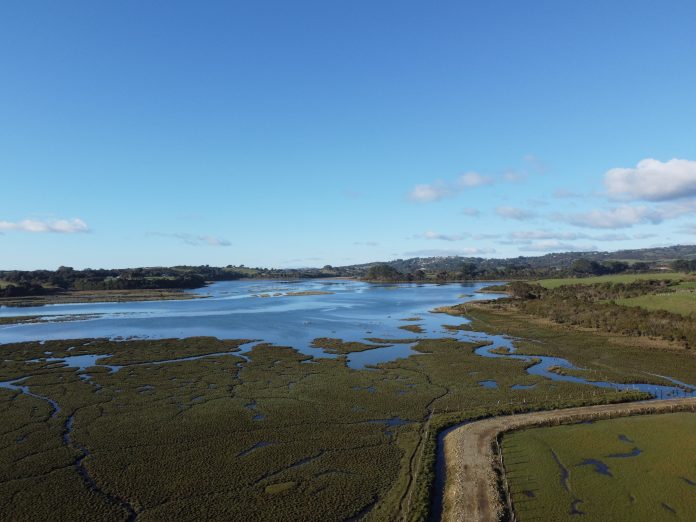 WhatsApp Image 2026-01-22 at 15.09.16