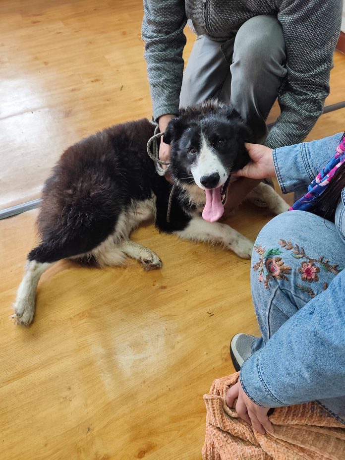 26fce058-78f3-4b48-bd36-b2fbf9ce61cf