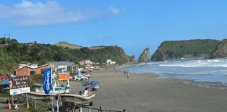 Importante fiscalización refuerza la seguridad turística en Islotes de Puñihuil