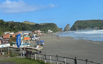 Importante fiscalización refuerza la seguridad turística en Islotes de Puñihuil