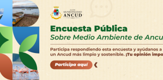 Consulta Pública Ambiental